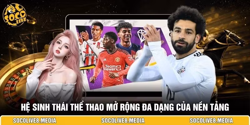 Hệ sinh thái thể thao mở rộng đa dạng của nền tảng