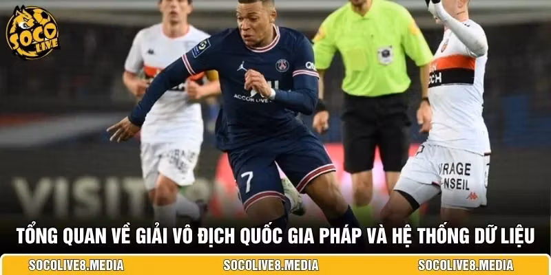 Tổng quan về giải vô địch quốc gia Pháp và hệ thống dữ liệu